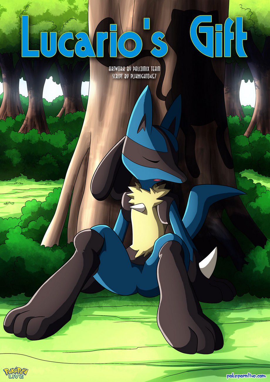 Lucario’s Gift - Chapter 1