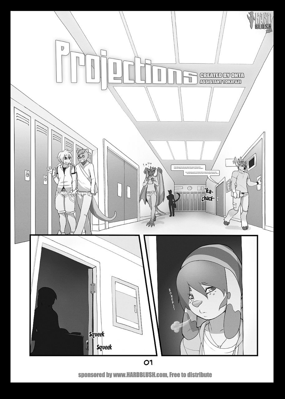 Projections (1-2) - Chapter 1