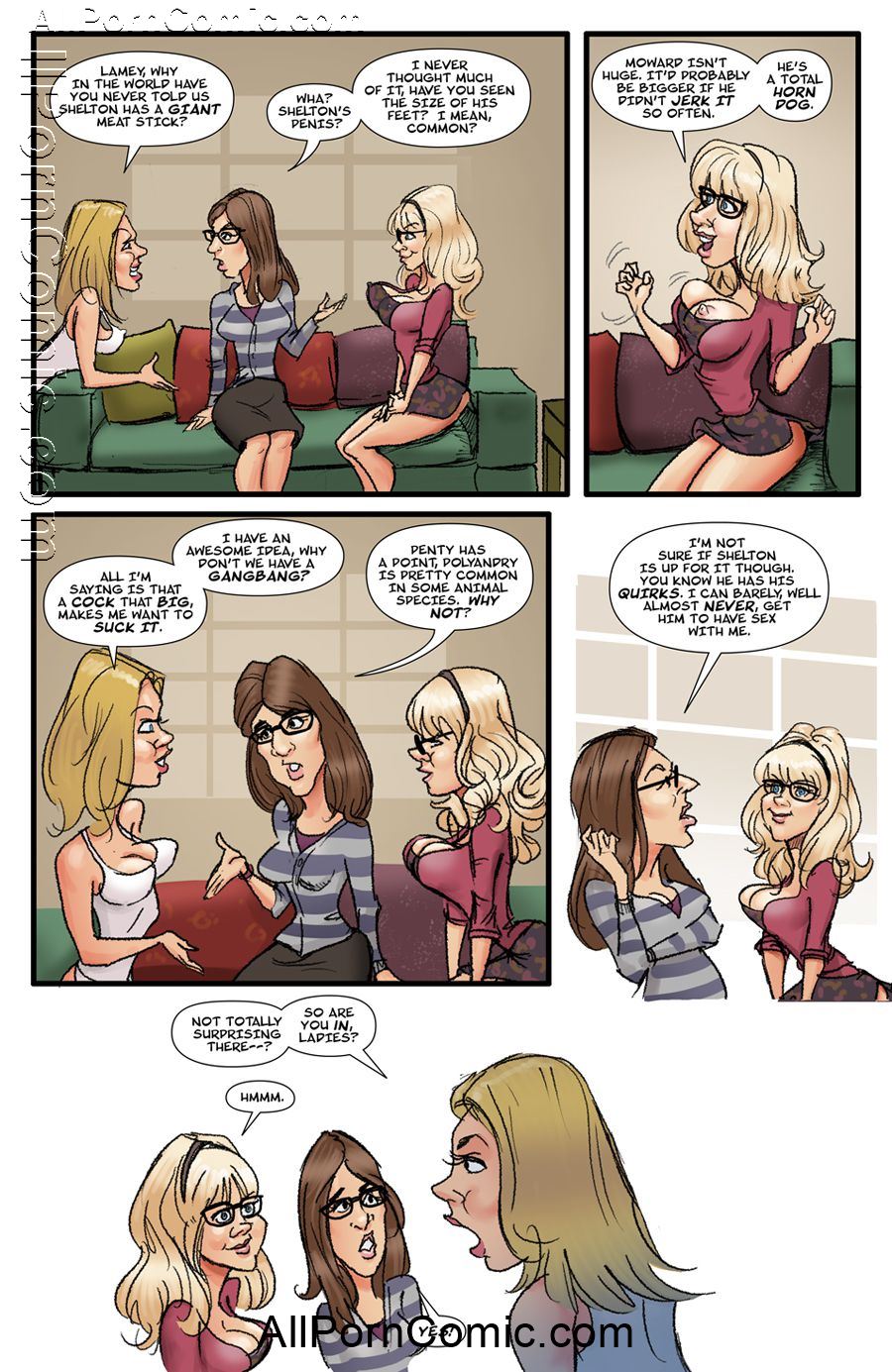 The Big Bang Theory (1-2) - Chapter 1