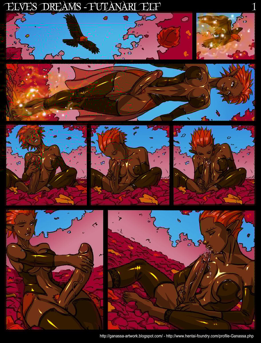 Elves Dreams (1-2) - Chapter 2