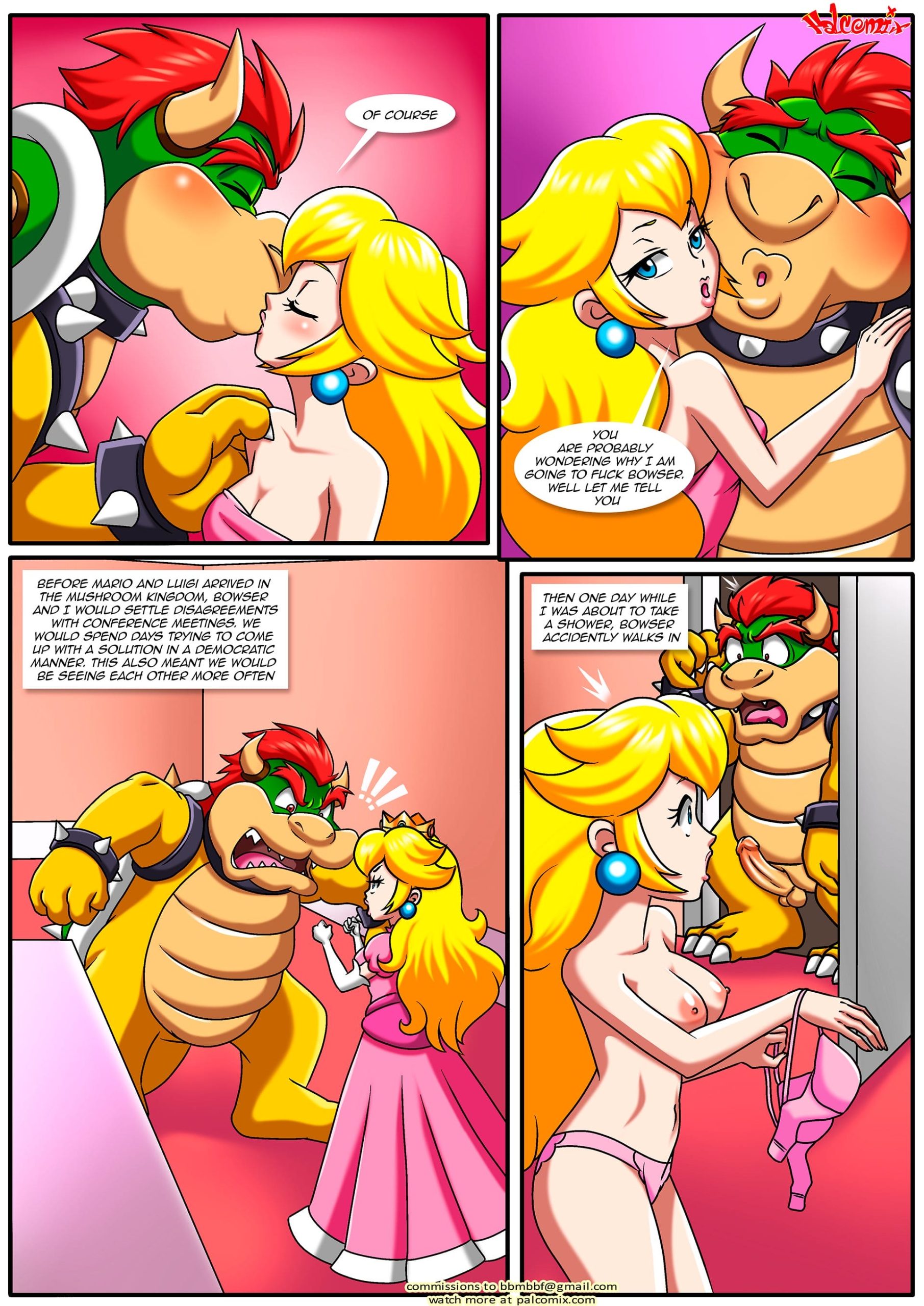 The Mushroom Kingdom Secret - Chapter 1