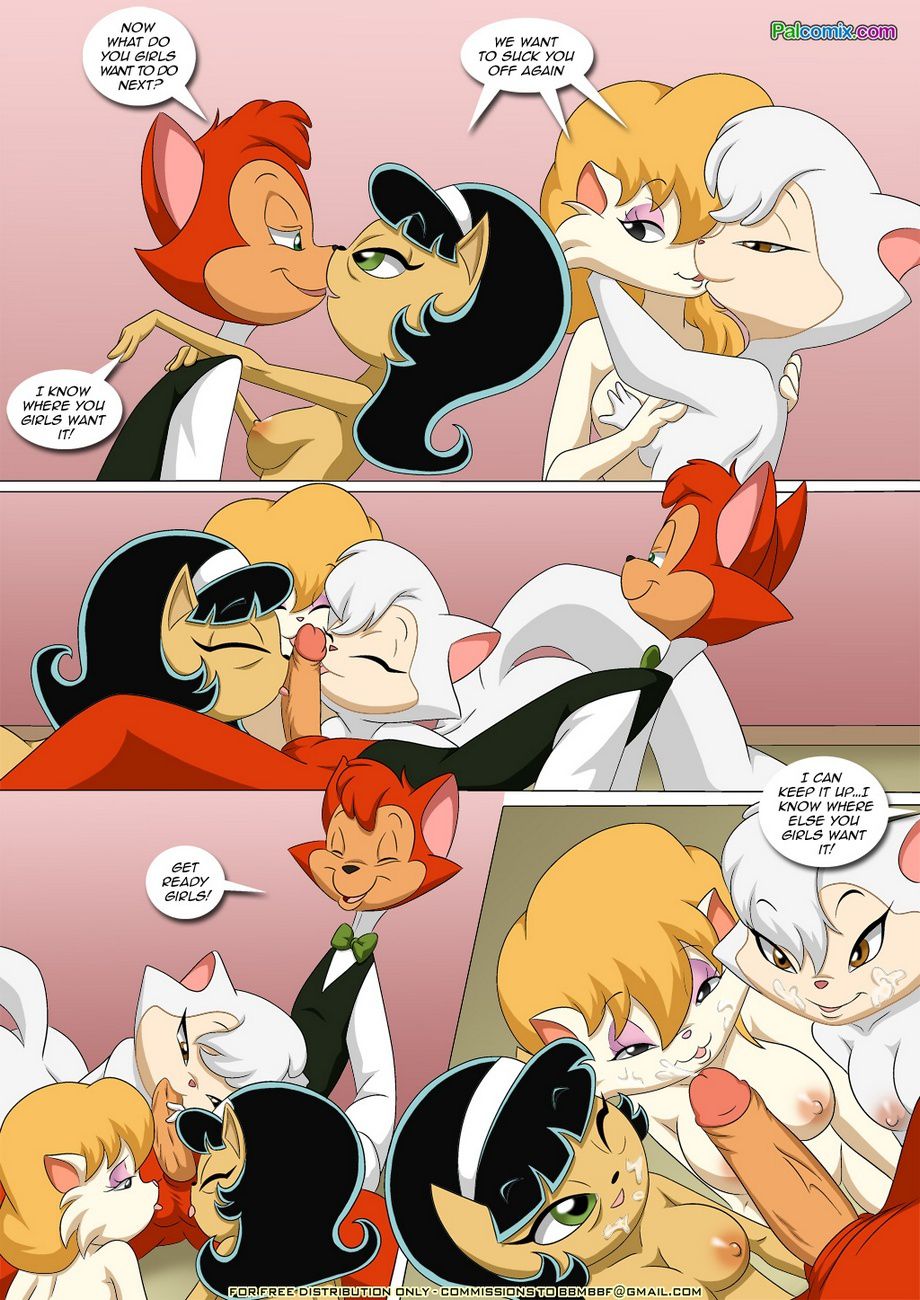 Pussy Cats - Chapter 1