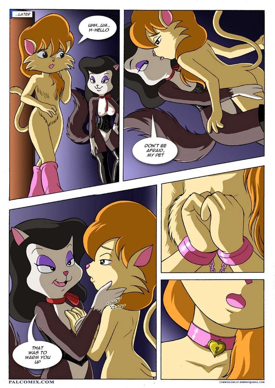 Cat Tamer - Chapter 1