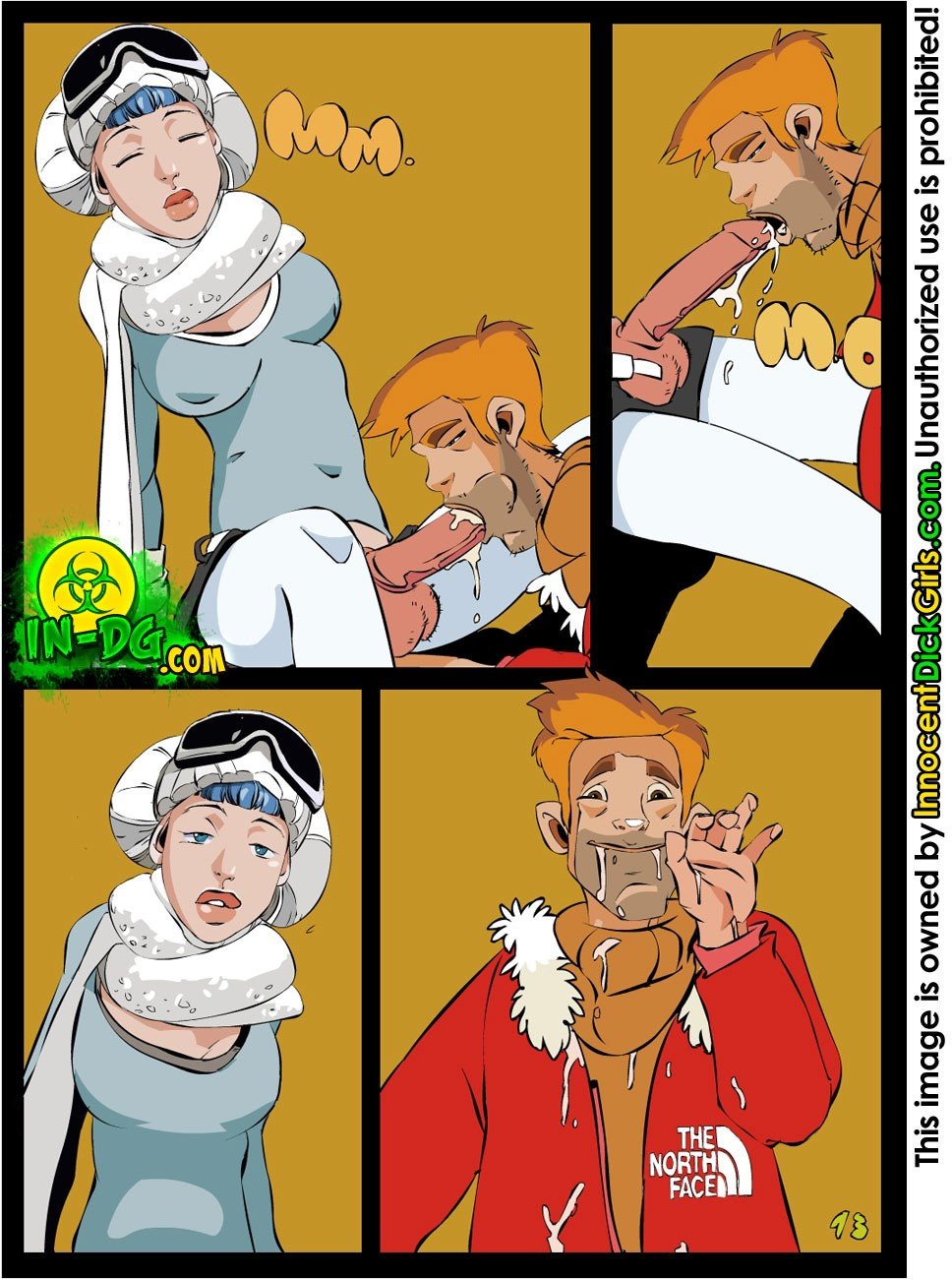 The Free Ski Pass - Chapter 1