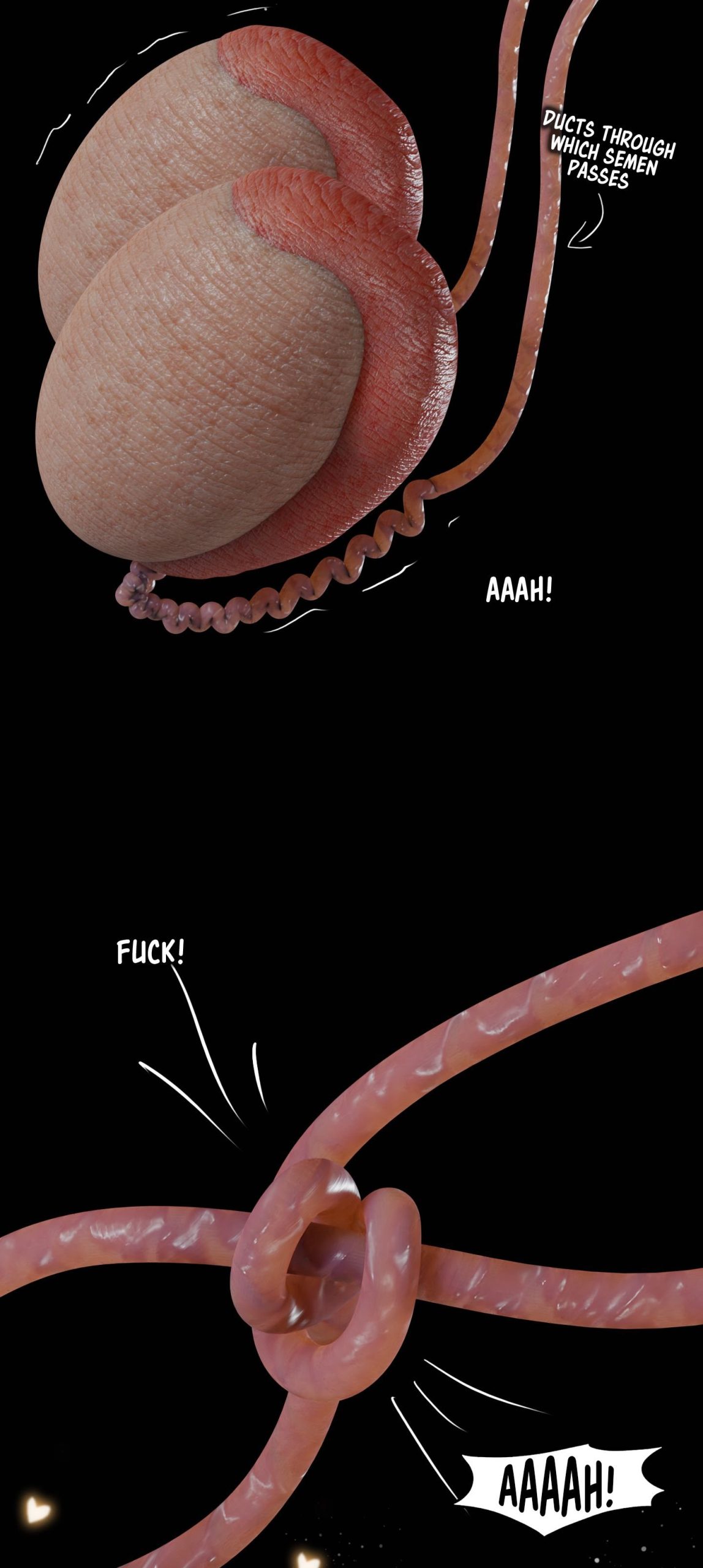 My Neighbor’s Widow - ch. 1-9