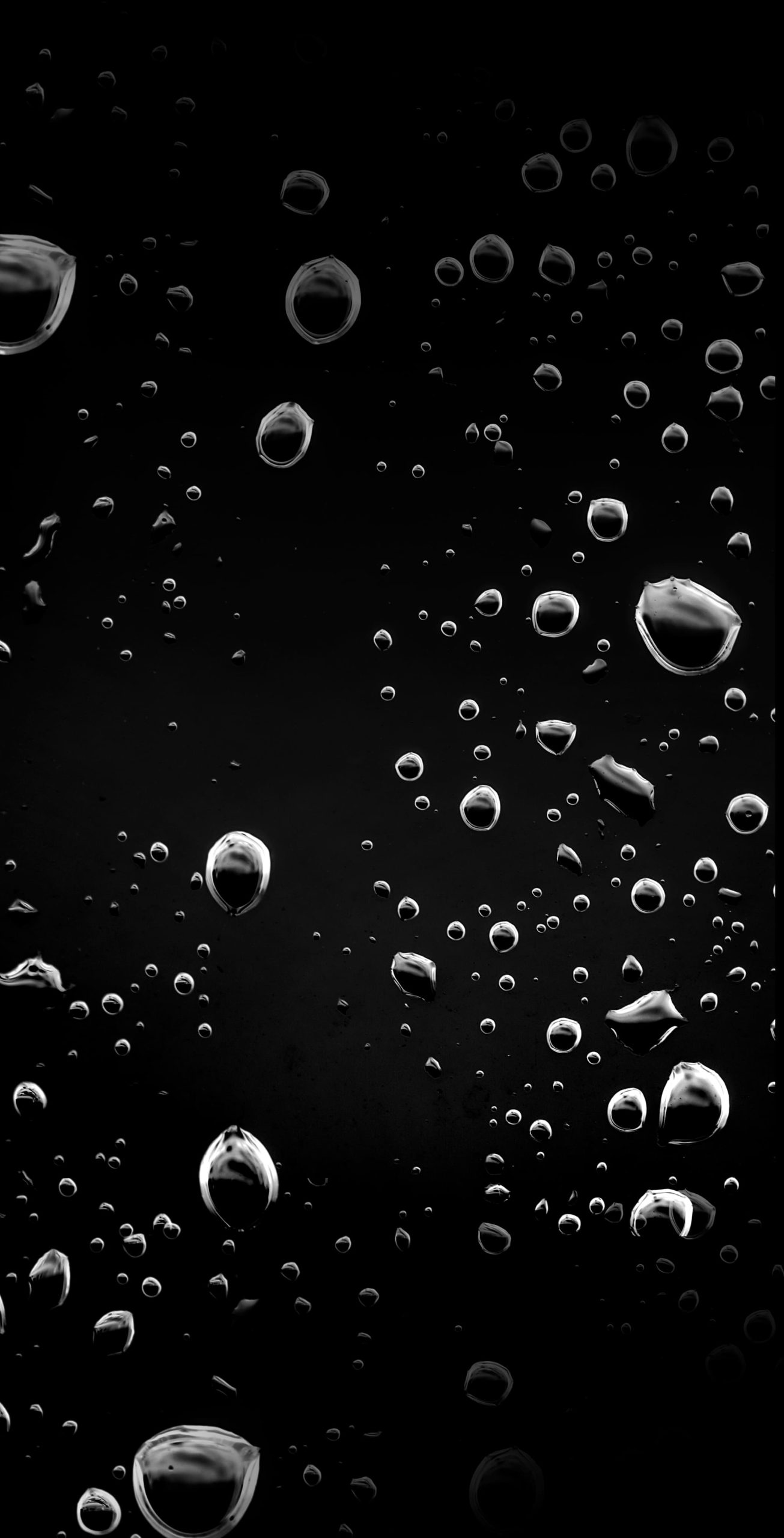 My Neighbor’s Widow - ch. 1-9